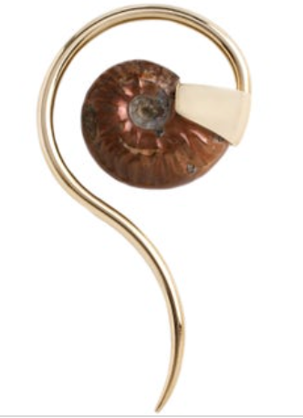 Ammonite Swans